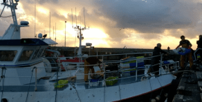 Capture d_écran 2018-07-19 à 09.44.21